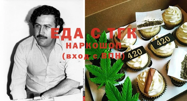 индика Пестово