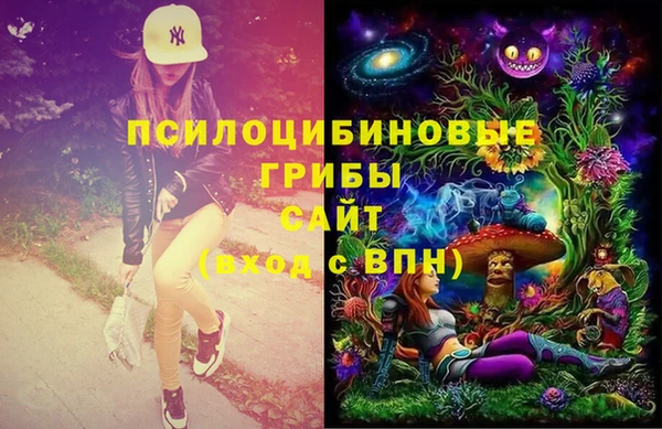таблы Осташков
