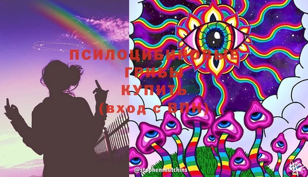 гашик Пересвет