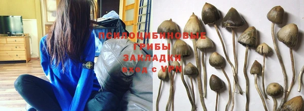 ешки Нязепетровск