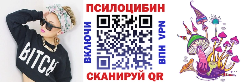 Псилоцибиновые грибы Psilocybe  где продают   Ртищево 