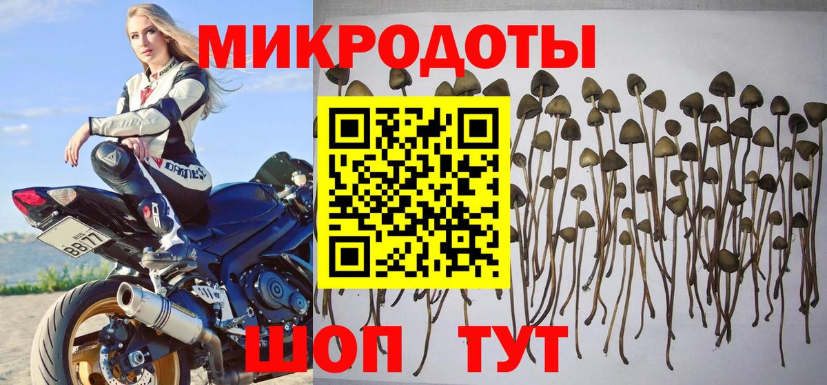 Псилоцибиновые грибы MAGIC MUSHROOMS Ртищево